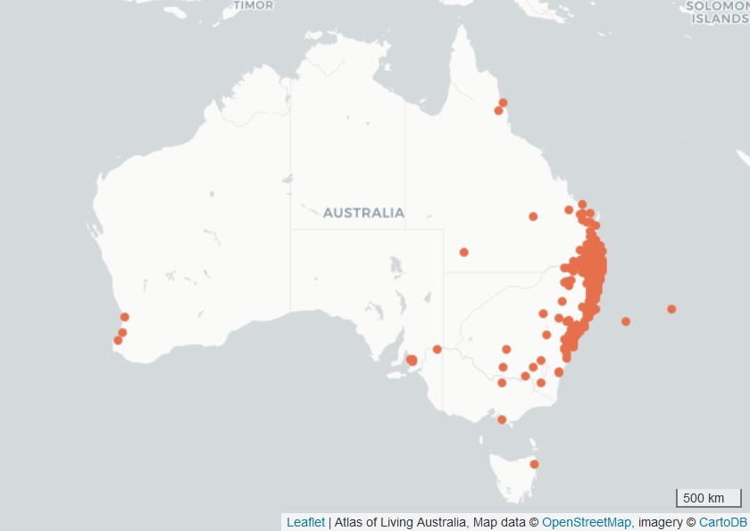 Carte des observations d'Ambroisie à feuilles d'armoise (Ambrosia artemisiifolia) en Australie.