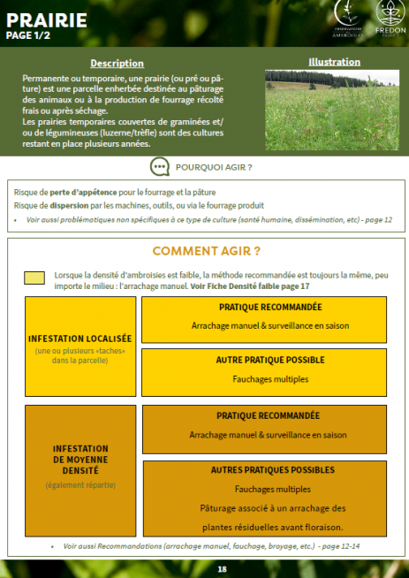 sommaire guide d'accompagnement ambroisie plante invasive comment s'en débarrasser parcelle agricole agriculture