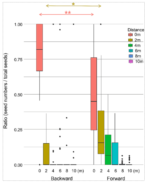 Schéma scientifique répartition des graines d'ambroisie trifide sur les routes