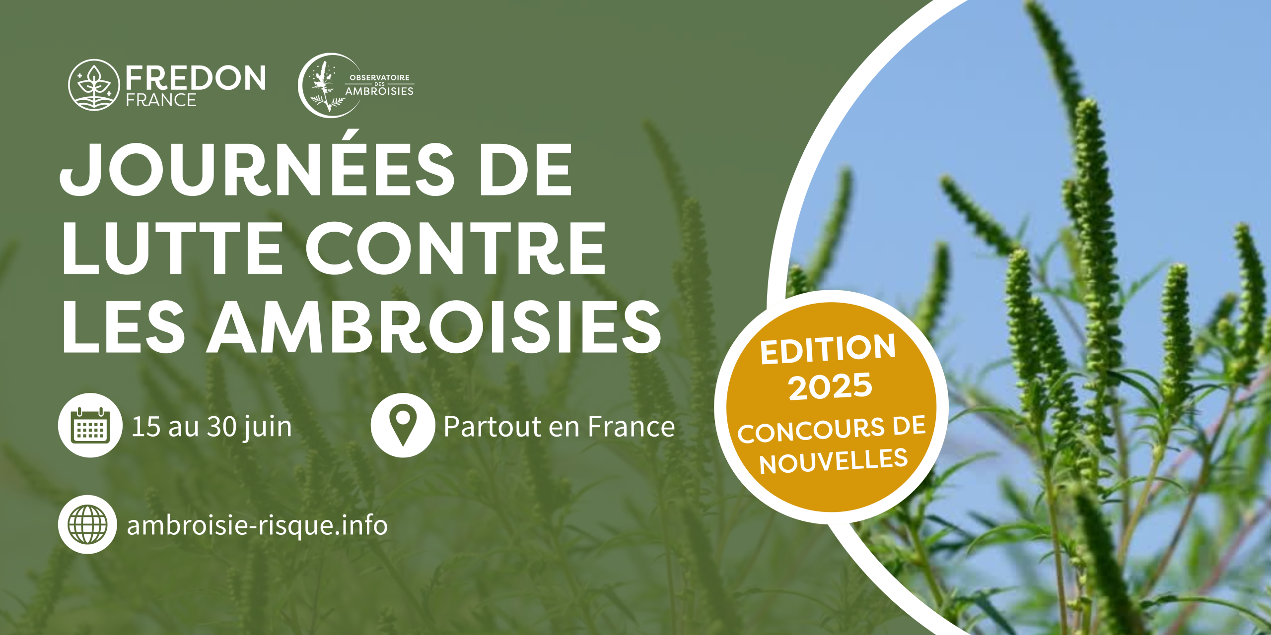 bannière journée de lutte contre les ambroisies édition 2025 concours de nouvelles gagnant