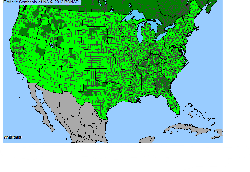 Carte de répartition géographique des ambroisies observées aux États-Unis.