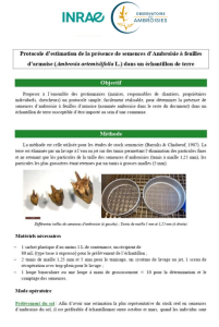 Protocole estimation ambroisie semence