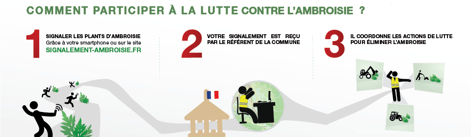 schéma signalement ambroisie organisation référent lutte signalement signaler détruire s'en débarrasser